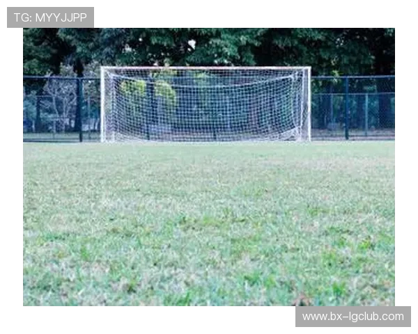 中国顶级足球草坪建设标准与绿色生态体育场发展的融合探索